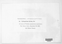 Image Associated With the Occurence